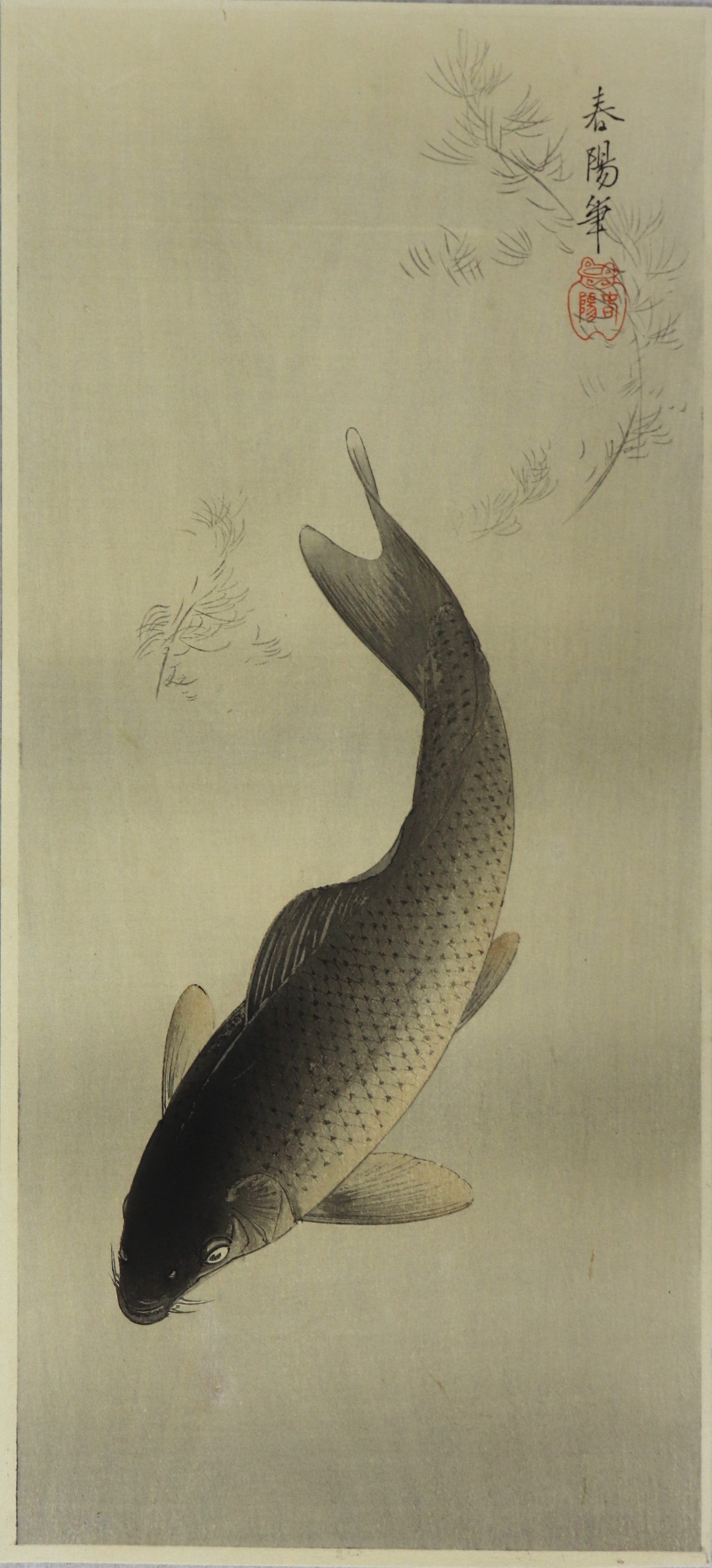 Carp by Shunyô / Carpe par Shunyô (1930's)