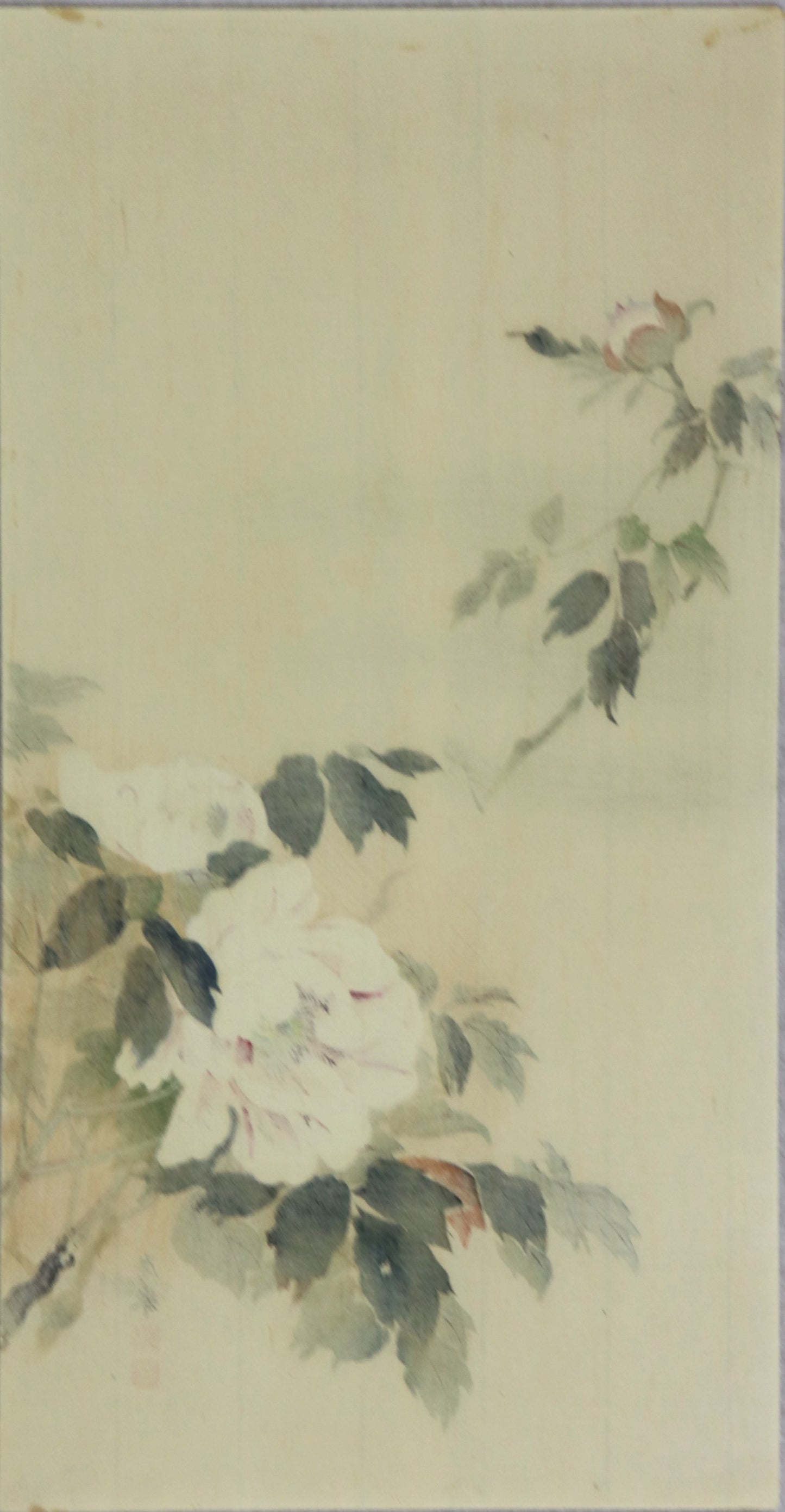 Peony by Okyo / Pivoine par Okyo (1930's)