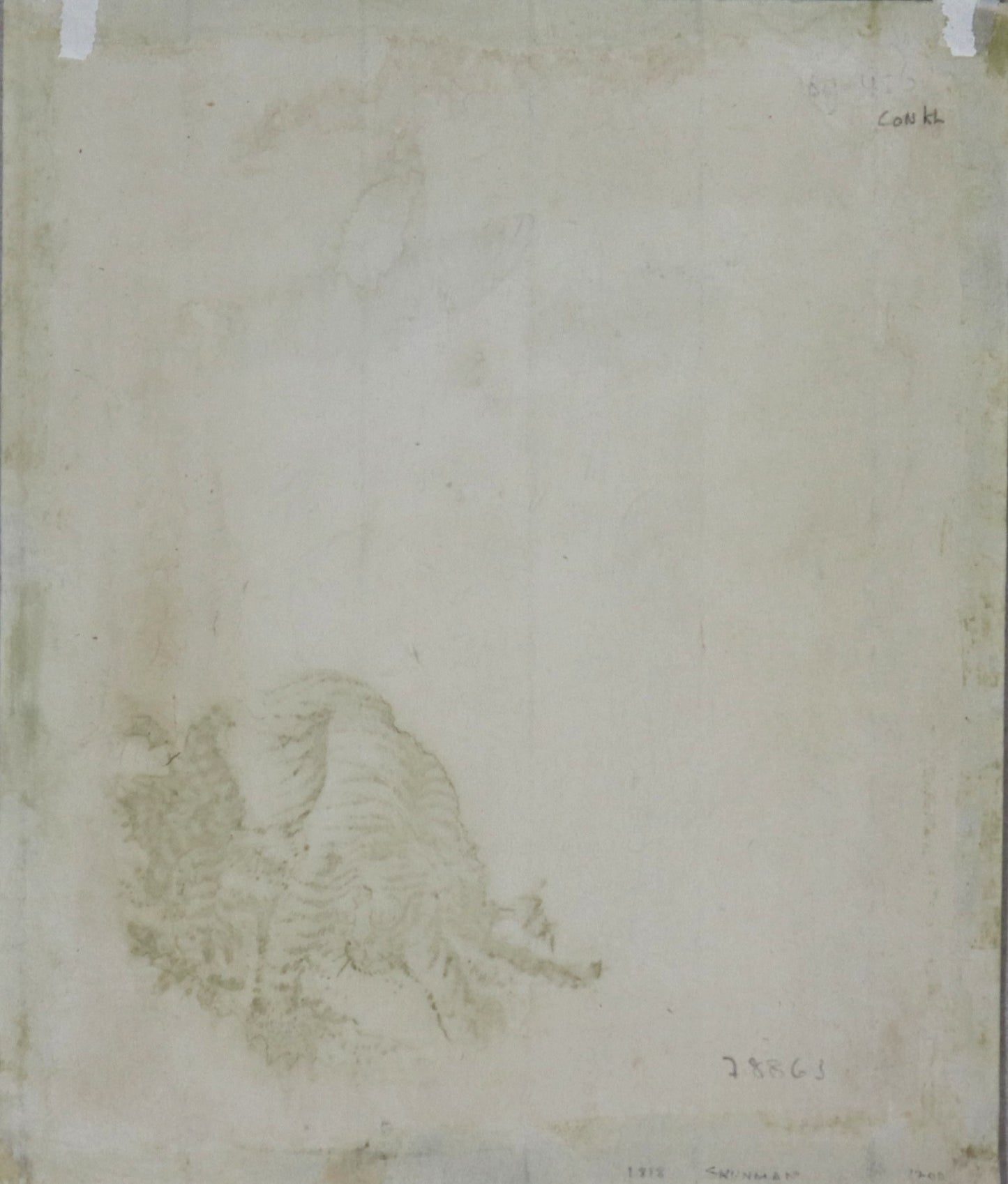 Butterflies and Tiger by Kubo Shunman / Papillons et Tigre par Kubo Shunman (1810's)