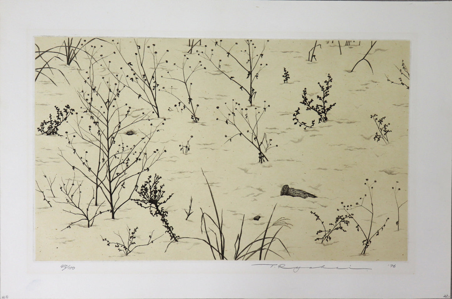 Dry Grasses