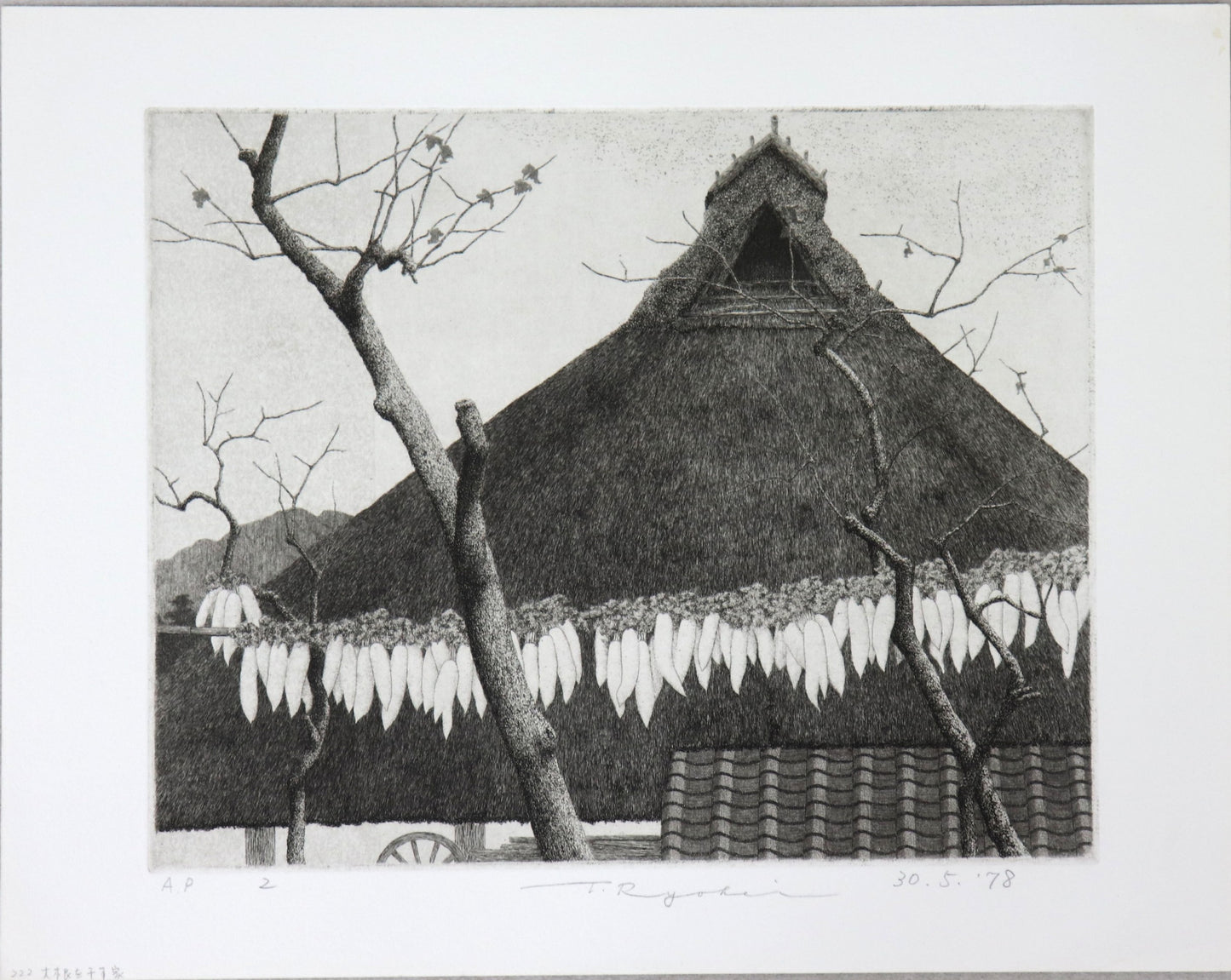 Drying Radish by Tanaka Ryohei (1978)