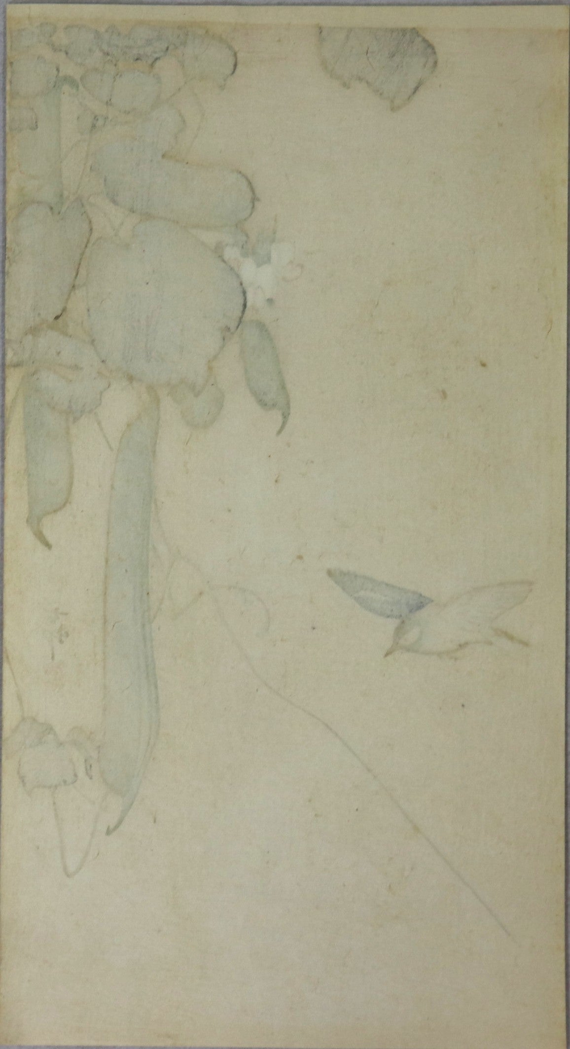 Hummingbird and Green Beans by Koson / Colibri et Petit pois par Ohara Koson (1930's)