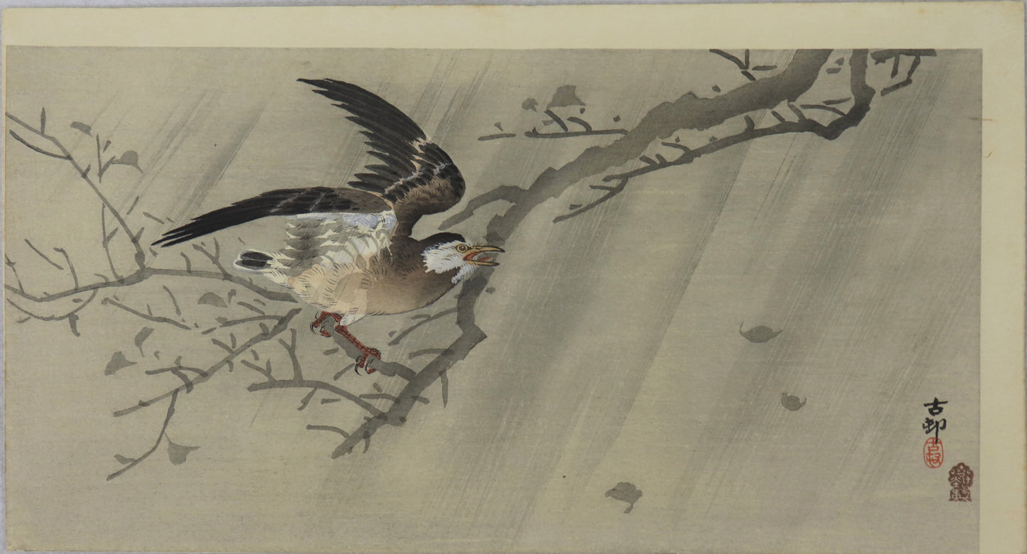 Starling on a tree branch by Koson / Passereau sur une branche de cerisier par Koson ( 1910's)