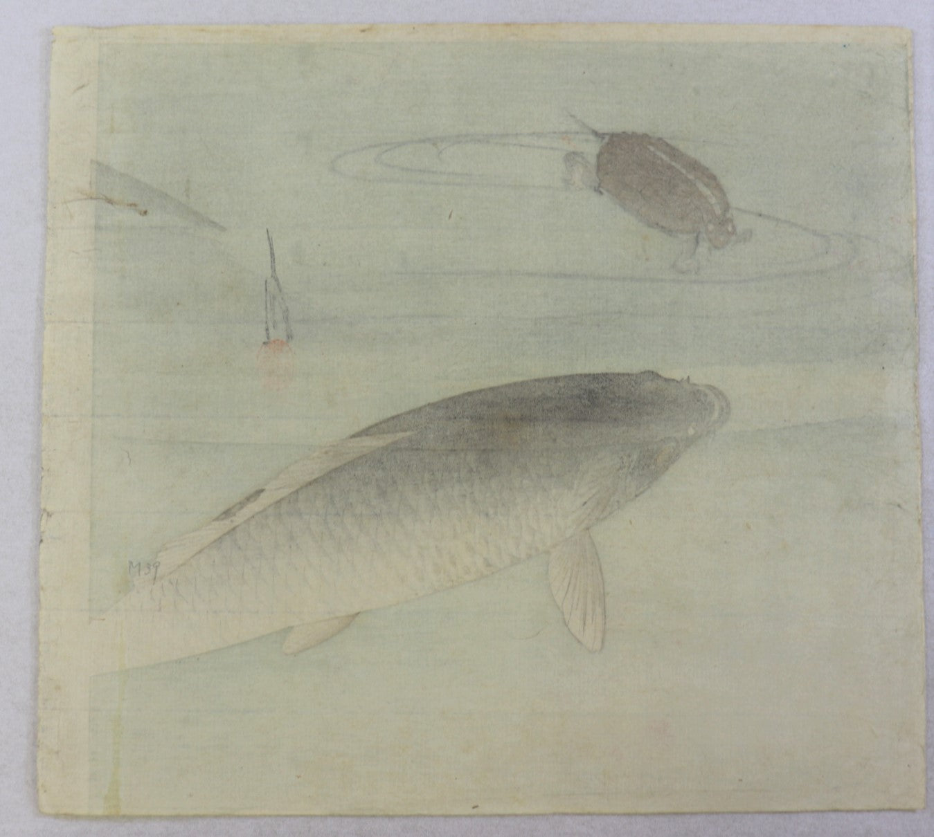 Carp and Turtle by Ogata Gekko / Carpe et Tortue par Ogata Gekko (1910's)