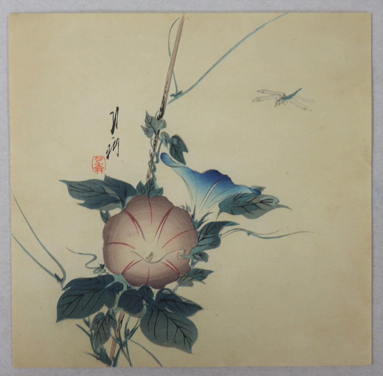 Morning glory and Dragonfly by Gekko / Belle-de-jour et Libellule par Gekko (1910's)
