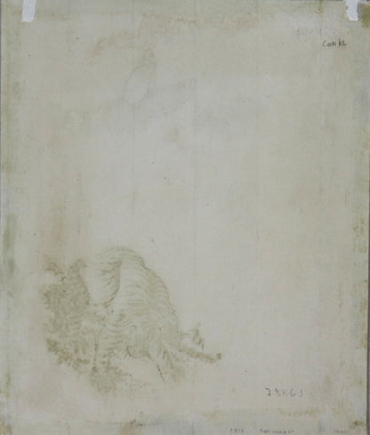 Butterflies and Tiger by Kubo Shunman / Papillons et Tigre par Kubo Shunman (1810's)