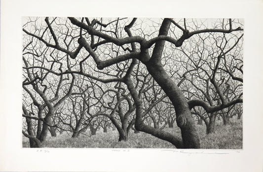 Tree #3 by Tanaka Ryohei ( 1974)