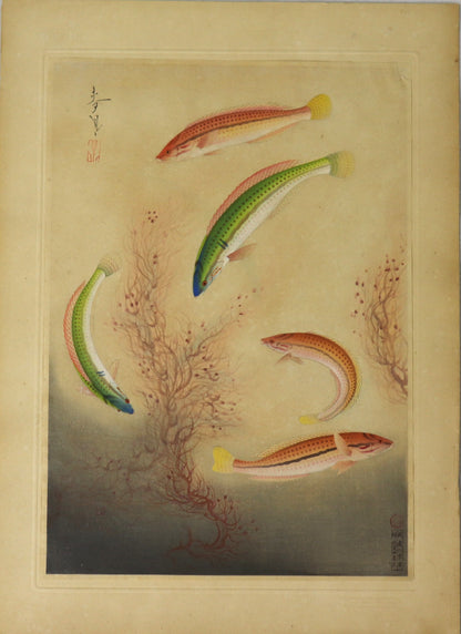 Bera by Ono Bakufu / Bera par Ono Bakufu(1937)