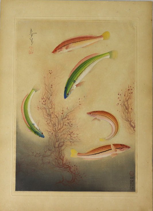 Bera by Ono Bakufu / Bera par Ono Bakufu(1937)