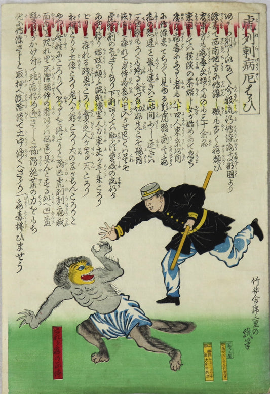 Disease of Cholera by Torashige / La Maladie du Choléra par Torashige (1877)