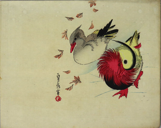 Mandarin Duck by Sadanobu II / Canards Mandarins par Sadanobu II (1870's)