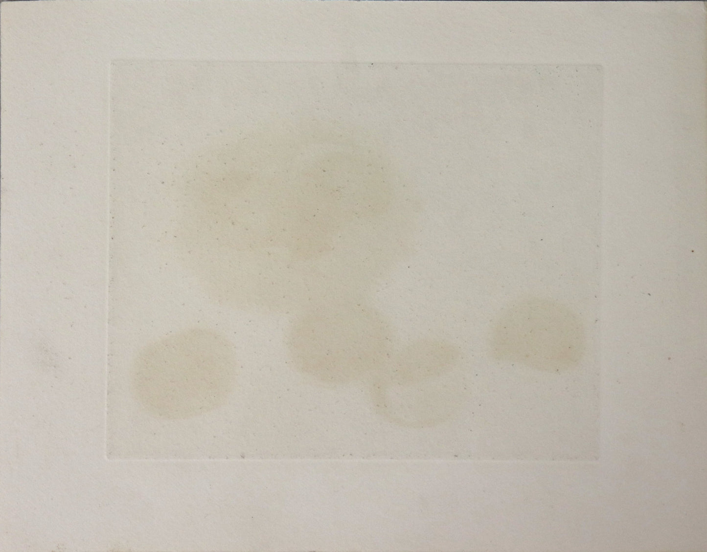 Chestnuts by Tanaka Ryohei (1971)