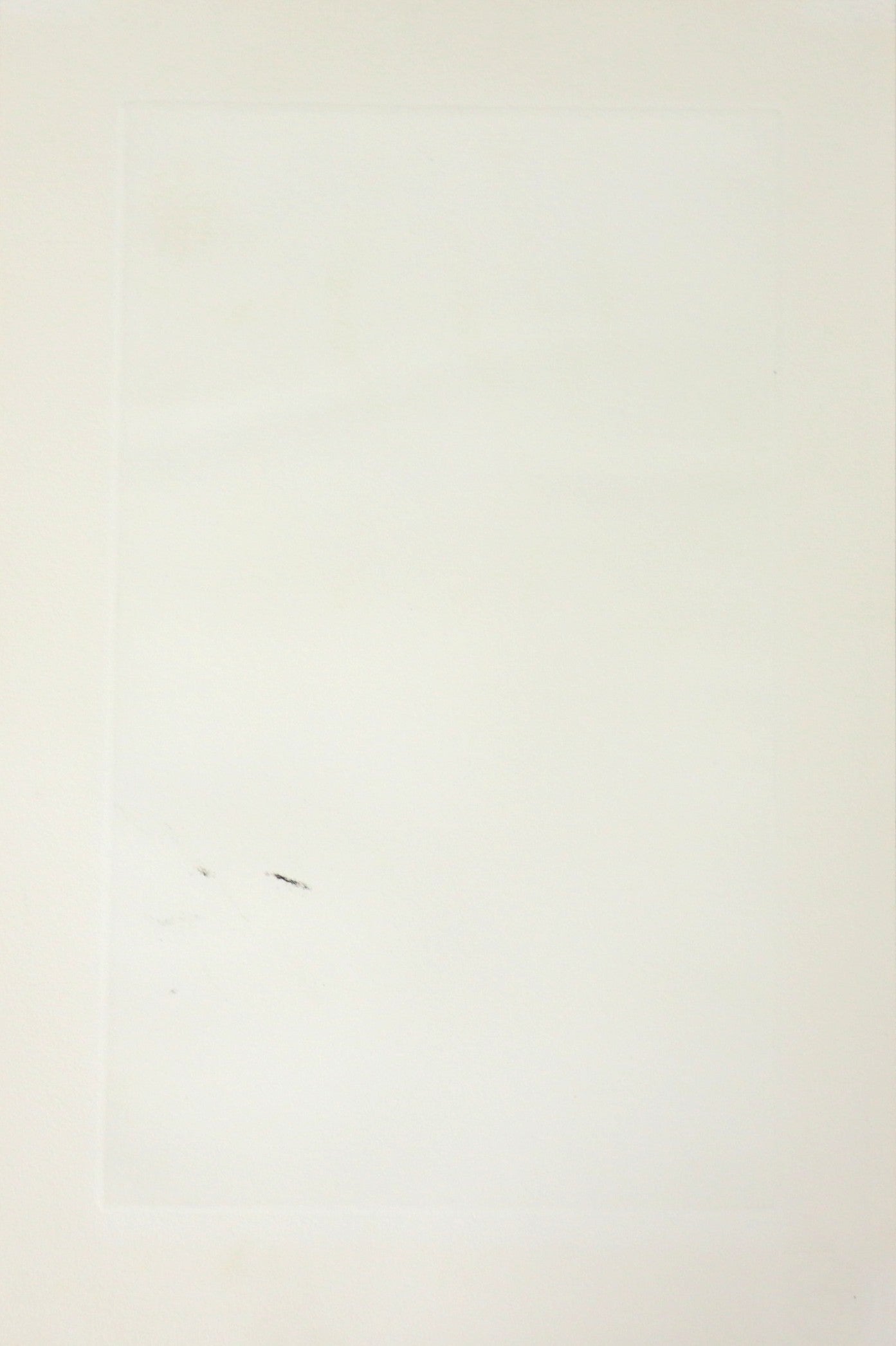 White Wall Reflection by Tanaka Ryohei (1980)