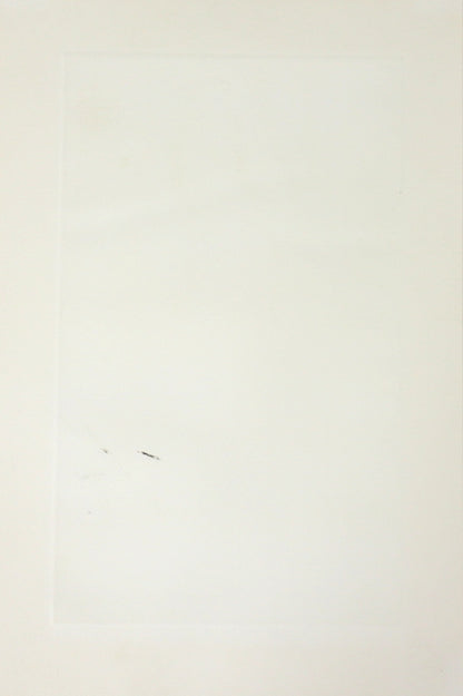 White Wall Reflection by Tanaka Ryohei (1980)