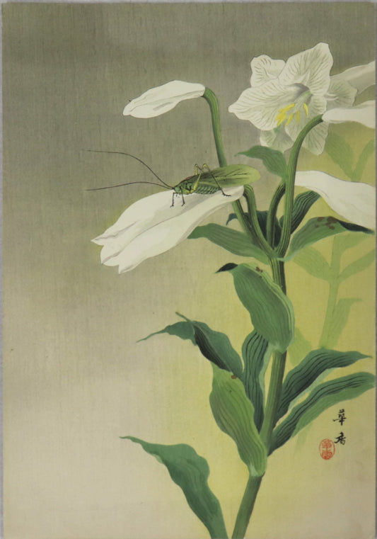 Grasshopper and Lily by Morita Kakô / Sauterelle et Iris par Morita Kakô ( 1910's
