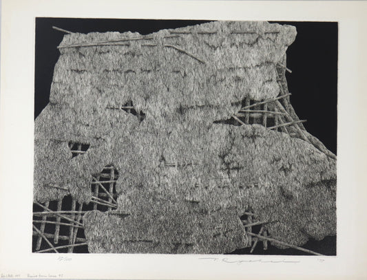 Ruined Farm House #5 by Tanaka Ryohei (1975)