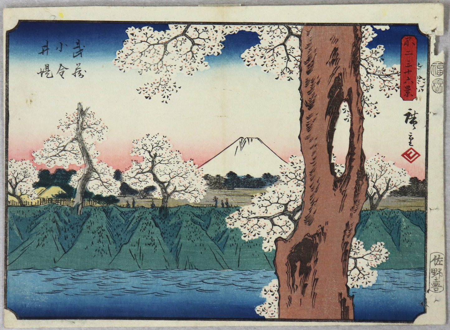 The Embankment at Koganei in the Musashi Province from the series " Thirty-Six Views of Mt. Fuji " by Hiroshige / Le remblai à Koganei dans la Province de Musashi de la série " Trente six Vues du Mont Fuji" par hiroshige (1852)