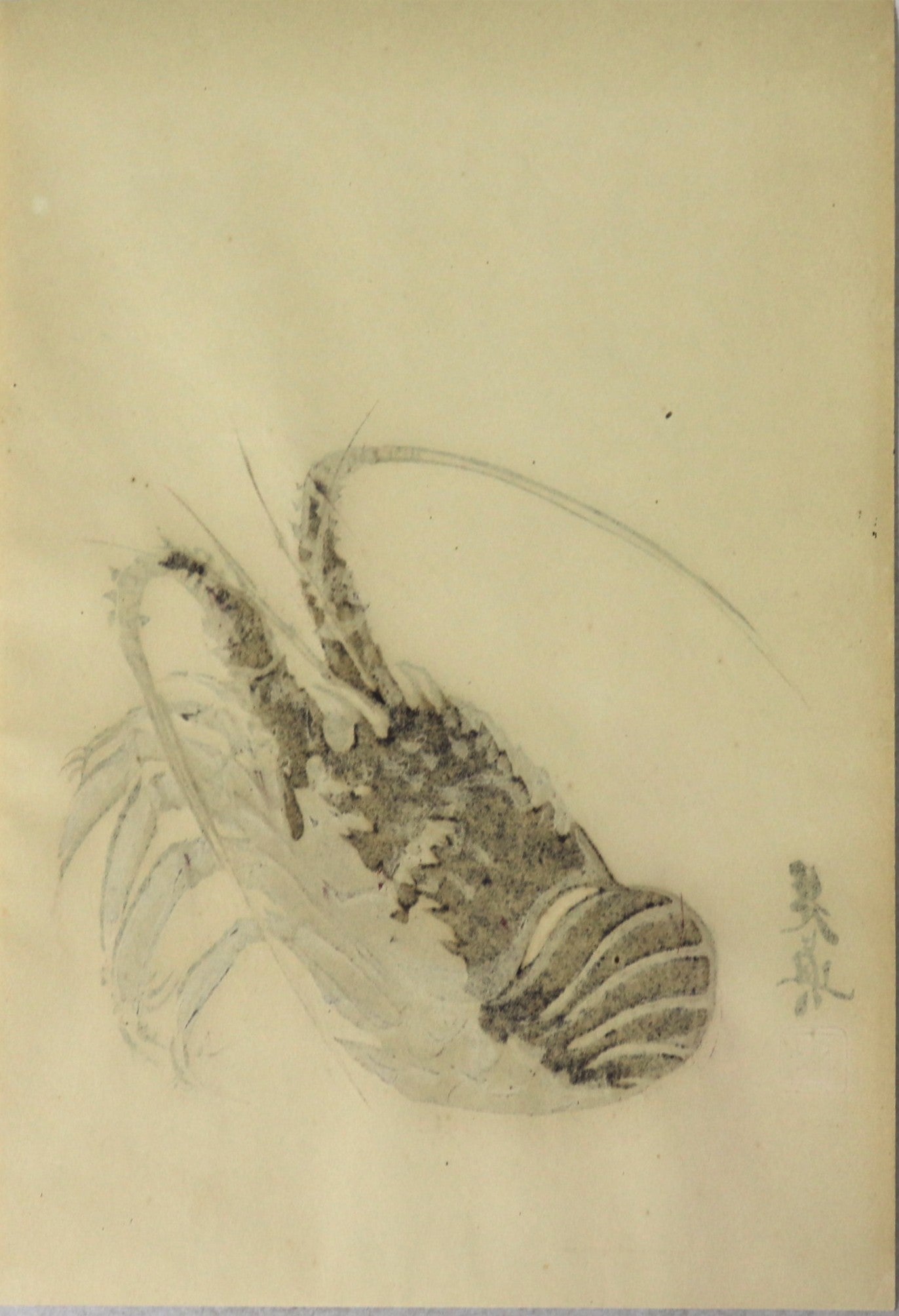 Ise Lobster by Shibata Zeshin / Langouste d'Ise par Shibata Zeshin