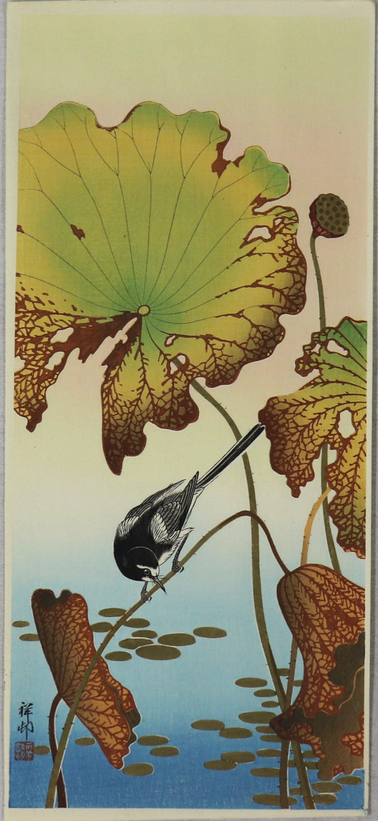 Wagtail and Lotus by Shoson / Bergeronette et Lotus par Shoson (1930's)