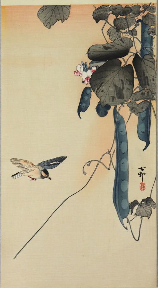 Hummingbird and Green Beans by Koson / Colibri et Petit pois par Ohara Koson (1930's)