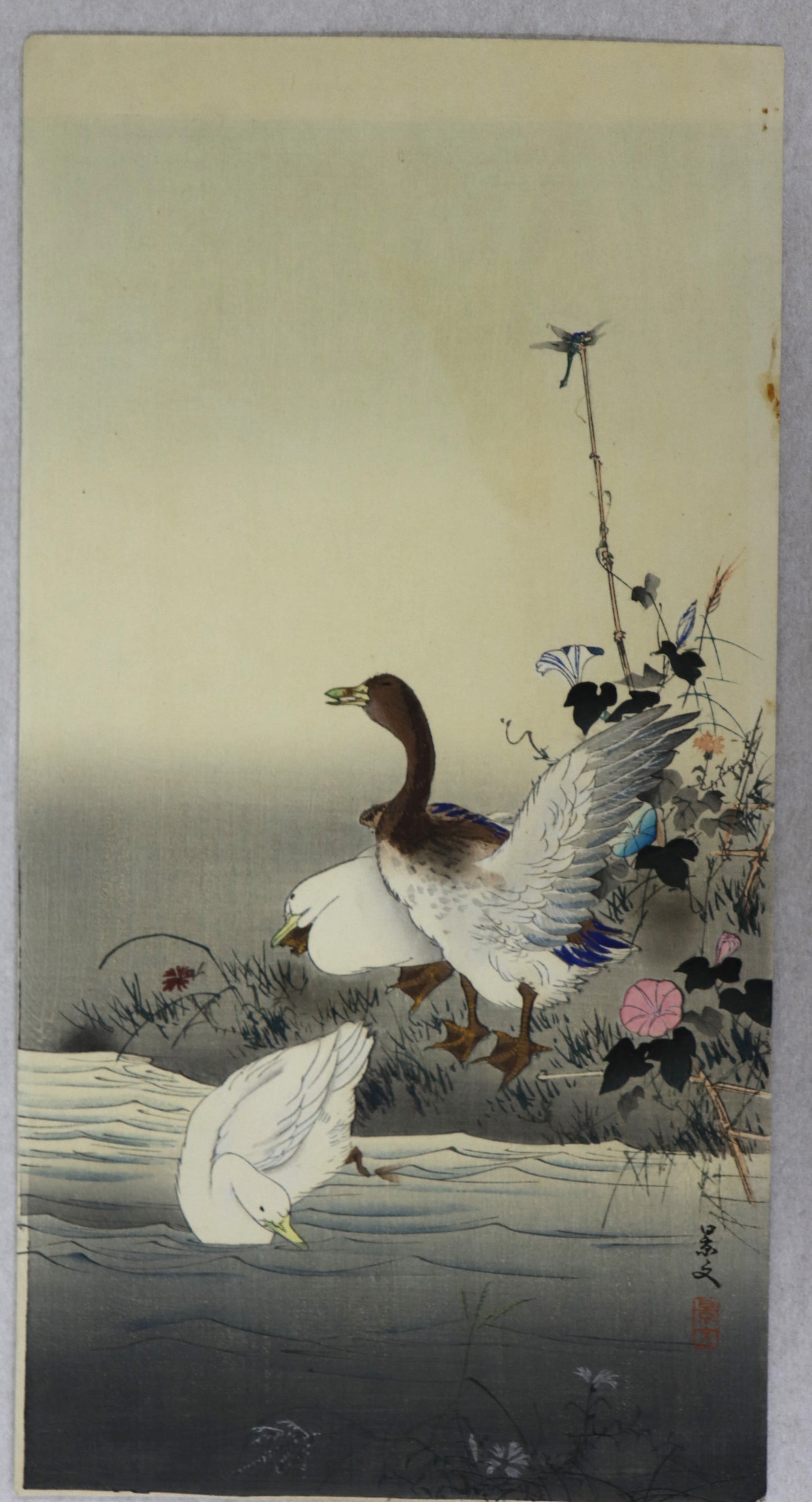 Ducks and dragonfly by Matsumura Keibun / Canards et Libellule par Matsumura Keibun