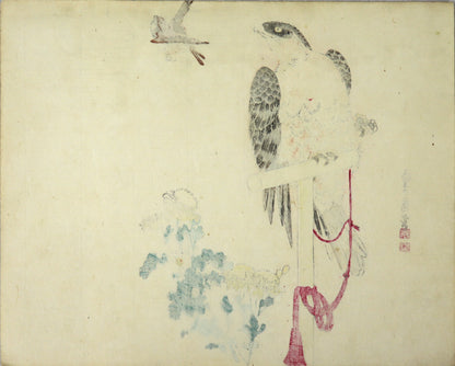 Falcon on perch, sparrow and Narcissus by Sadanobu II / Faucon sur un poteau , moineau et Narcisse par Sadanobu II