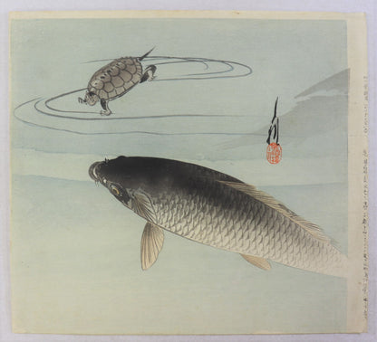 Carp and Turtle by Ogata Gekko / Carpe et Tortue par Ogata Gekko (1910's)