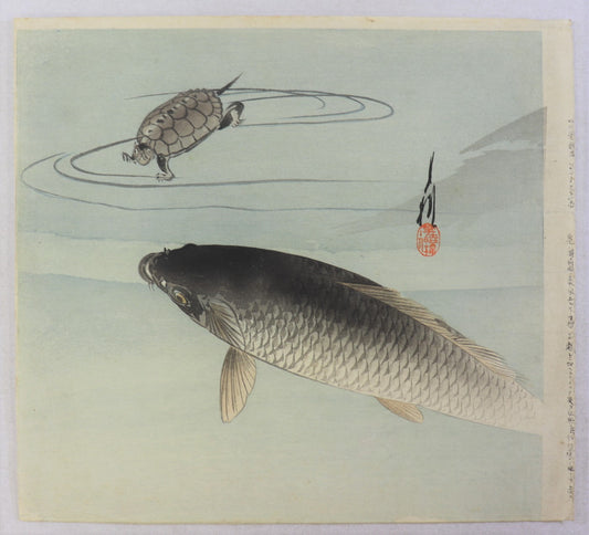 Carp and Turtle by Ogata Gekko / Carpe et Tortue par Ogata Gekko (1910's)