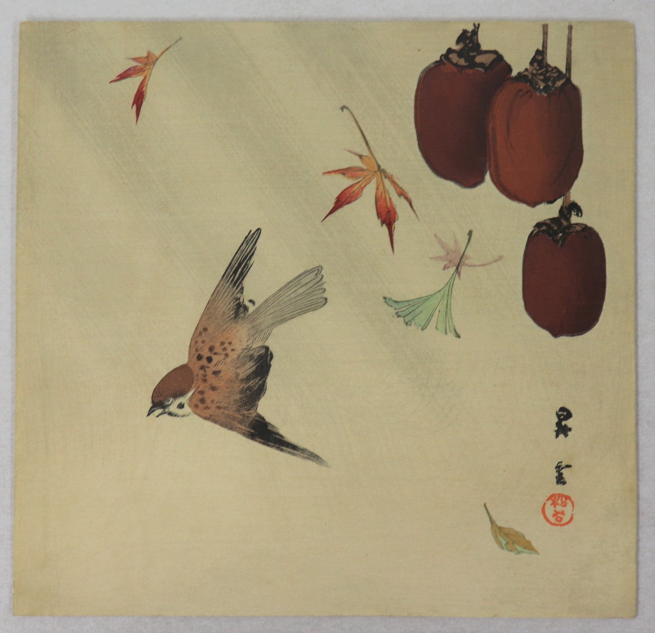Sparrow and Kaki ( Japanese Persimmon) by Shoun / Moineau et Kaki par Yamamoto Shoun (1910's)