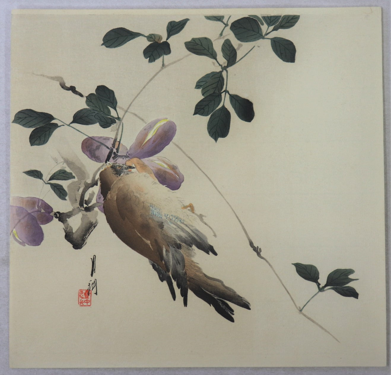 Sparrow feeding by Gekko / Moineau se nourissant par Gekko (1910's)